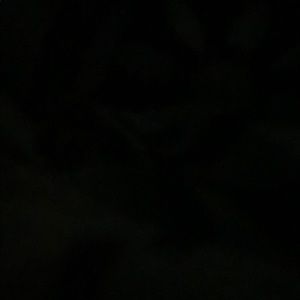 Meet your Posher, Dyanna